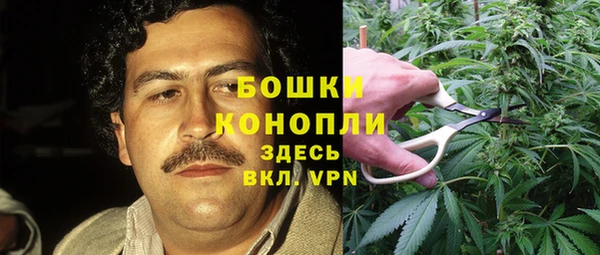 MESCALINE Богородицк