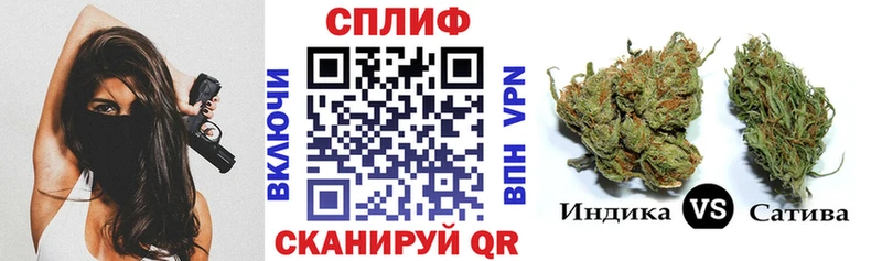 Бошки Шишки семена купить наркотик Ленинградская